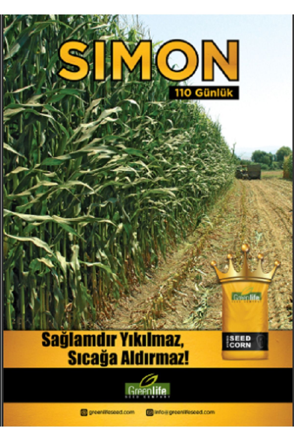 MISIR TOHUMU SIMON 110 GÜNLÜK