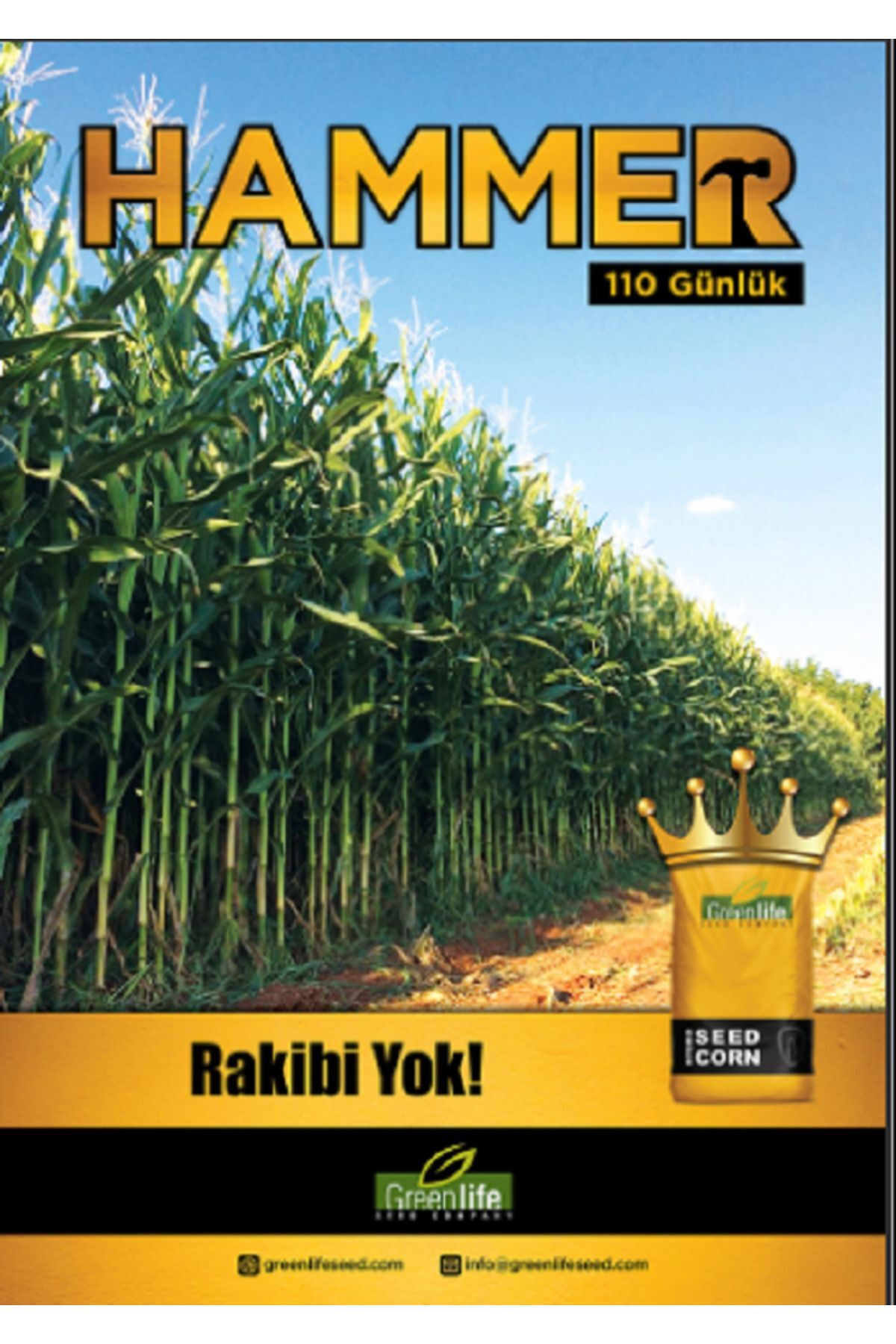 MISIR TOHUMU HAMMER 110 GÜNLÜK
