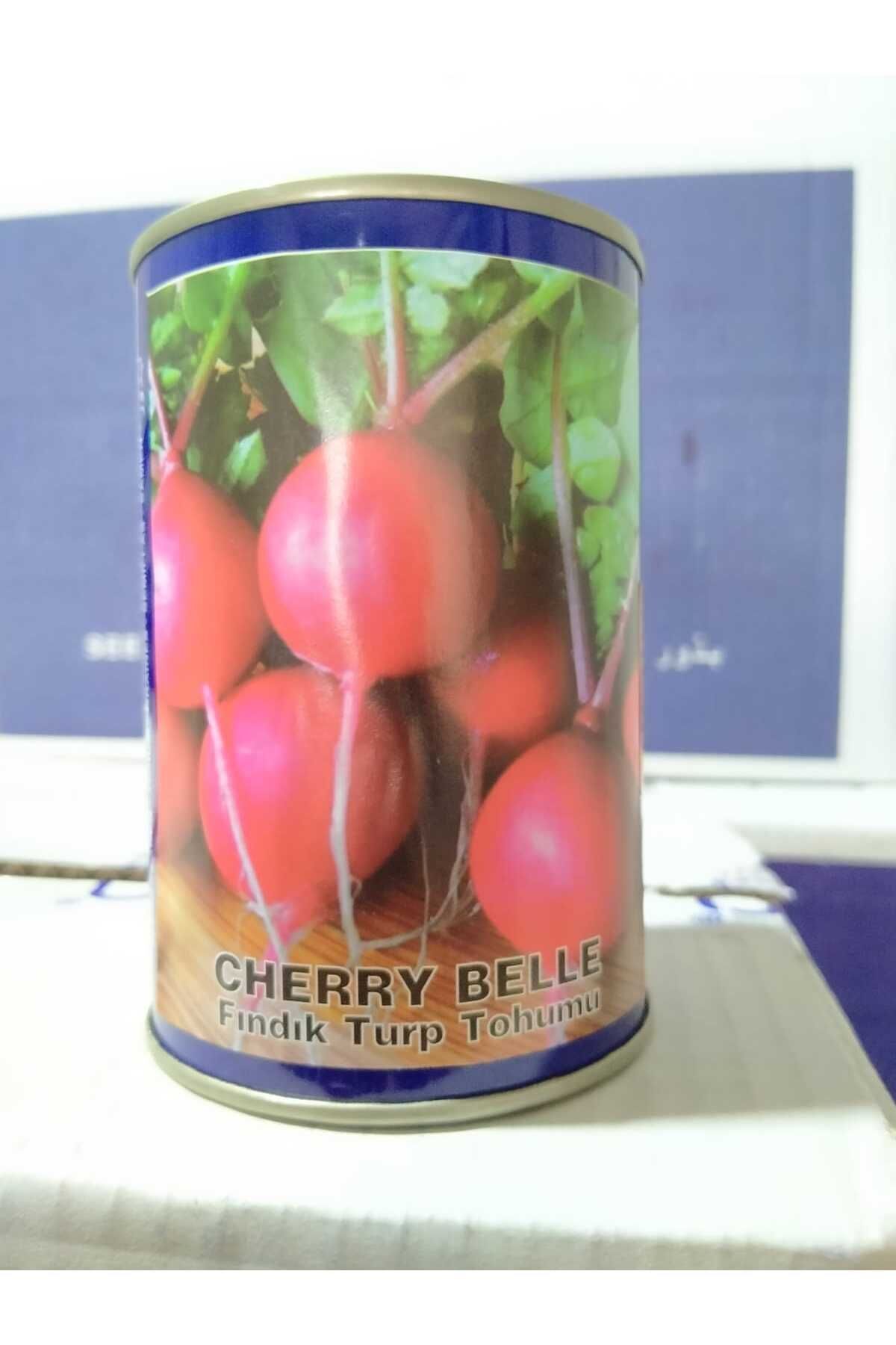 Fındık Turp Tohumu 100 gr Fındık Cherry