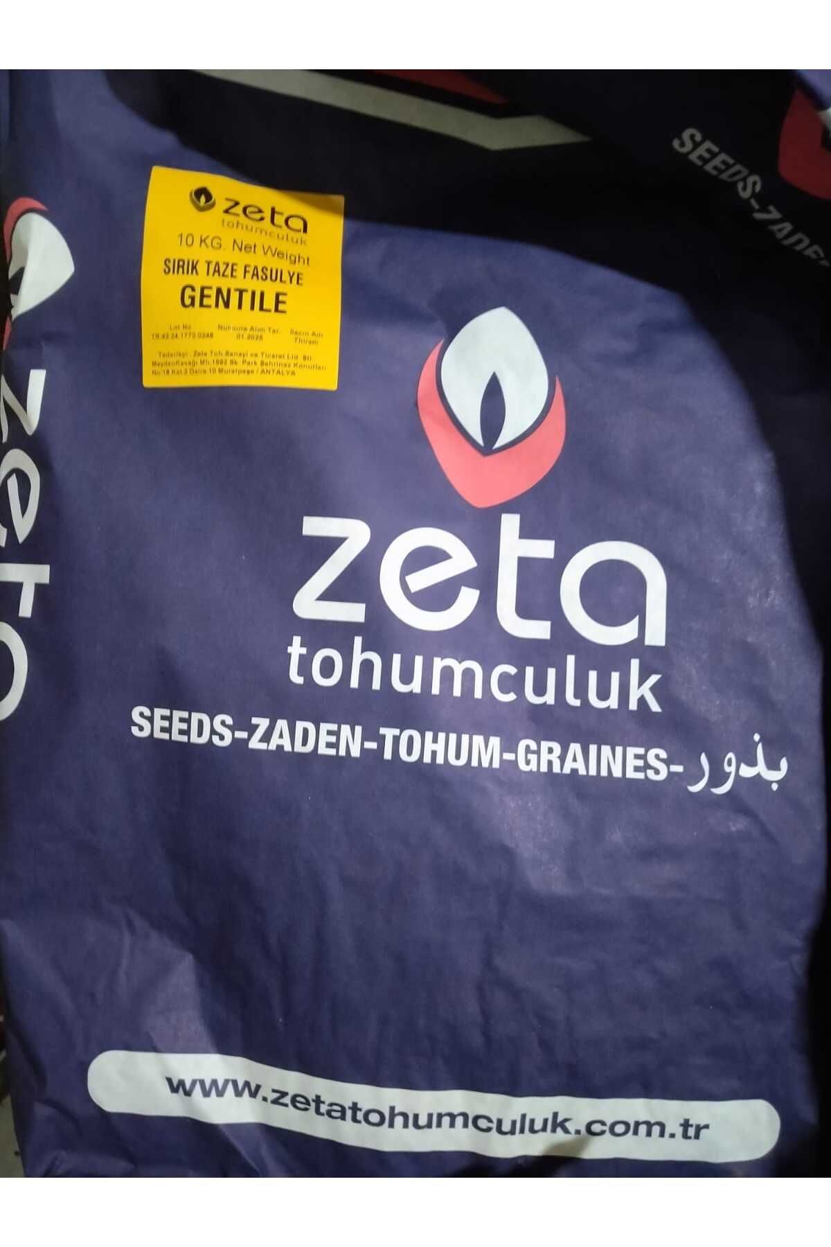 Sırık Taze Fasulye Tohumu 10 kg Gentile