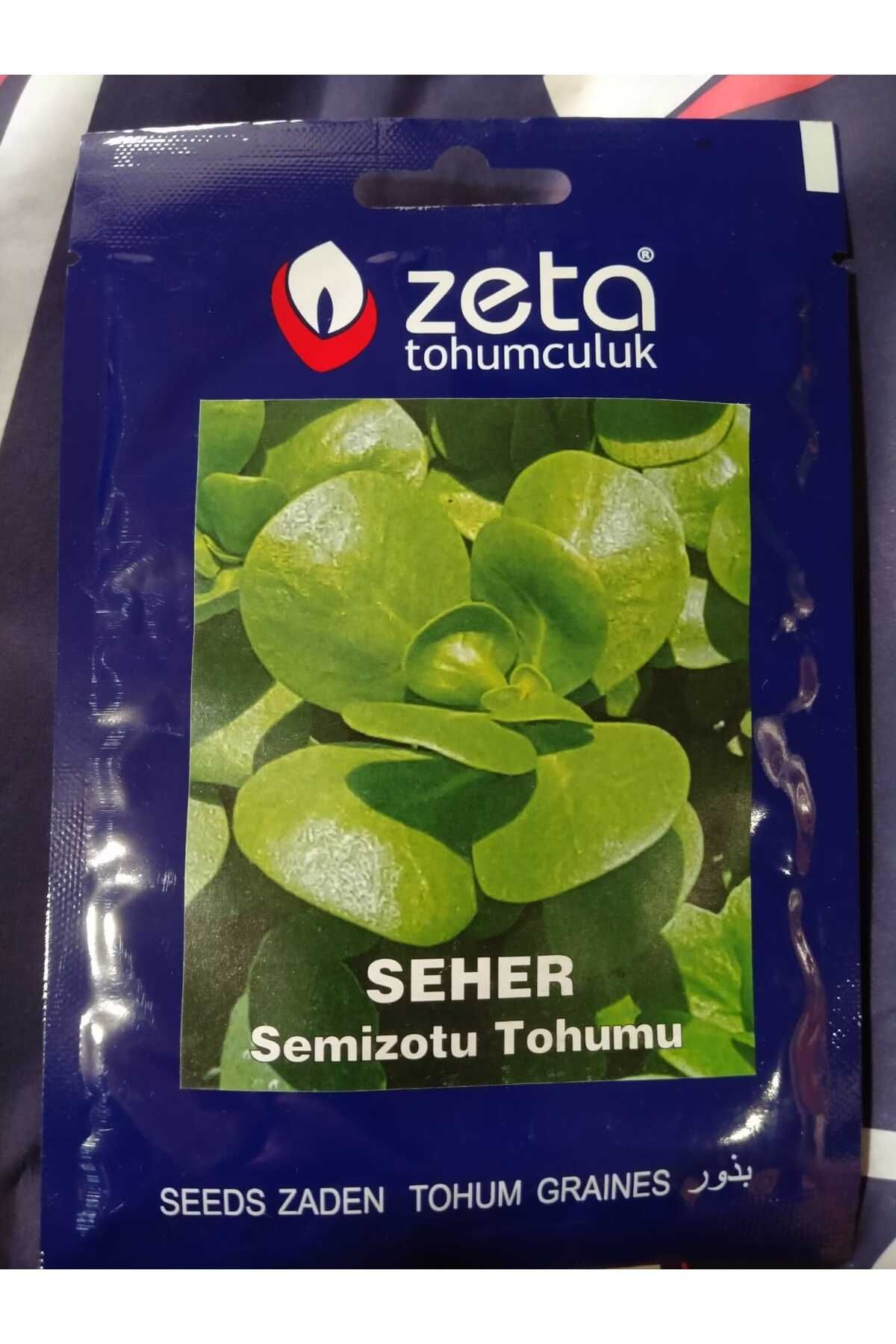 SEMİZOTU TOHUMU 10 GR