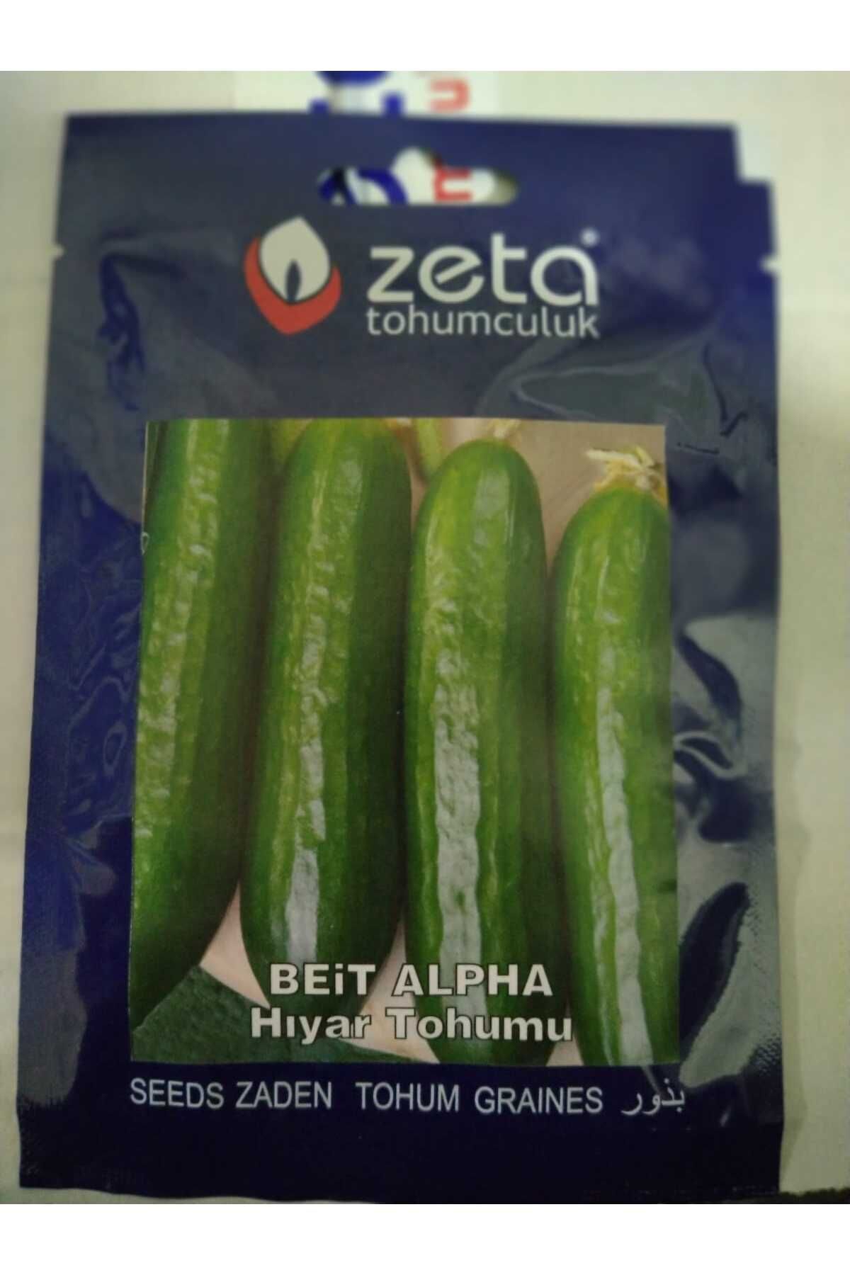 HIYAR TOHUMU 10 GR