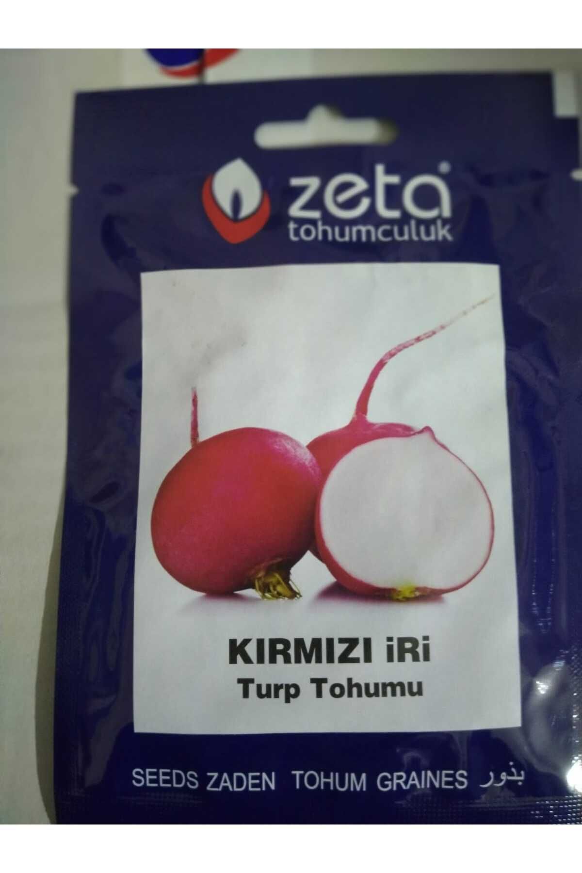 TURP TOHUMU KIRMIZI İRİ 10 GR