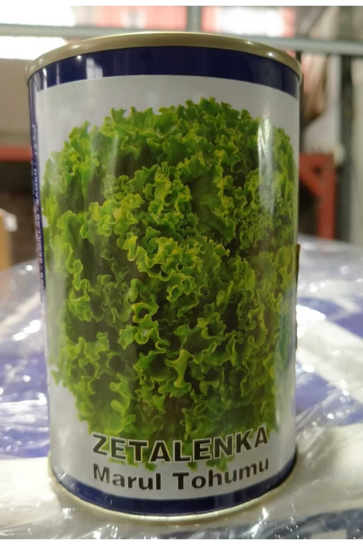 Zetalenka Marul Tohumu 100 gr