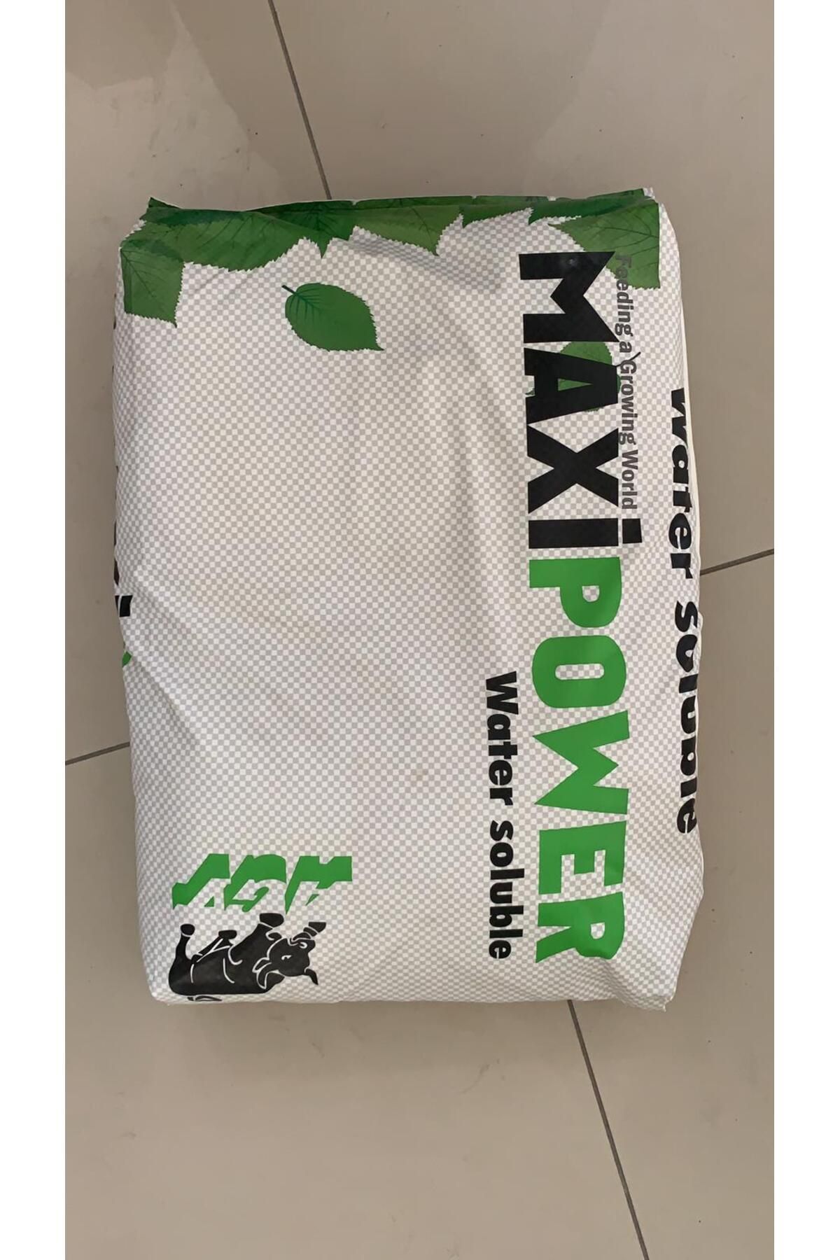 MAXI POWER 16-8-24+(2MgO)+ME 1 kg